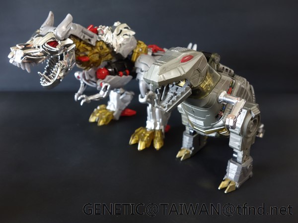 Tranformers Age Of Extinction Platinum Edition Grimlock Dinobot Pictorial Review  (16 of 27)